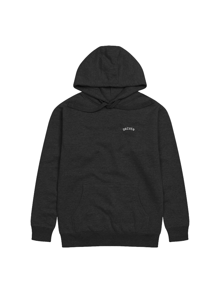 NEED MONEY FOR GTR product image (2)