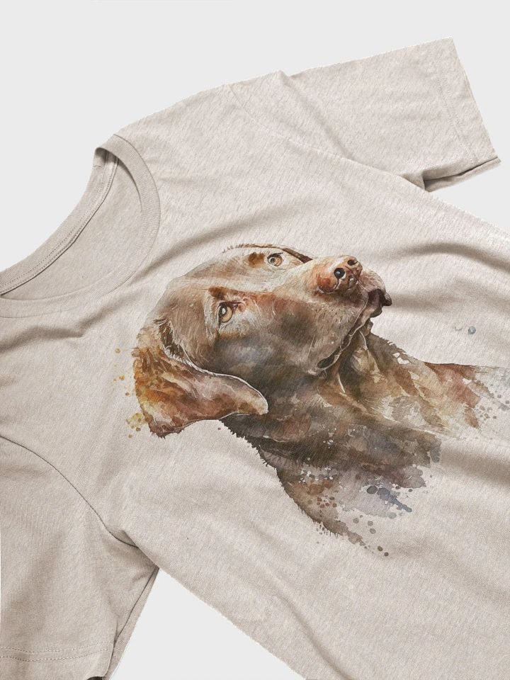 Chesapeake Bay Retriever product image (2)
