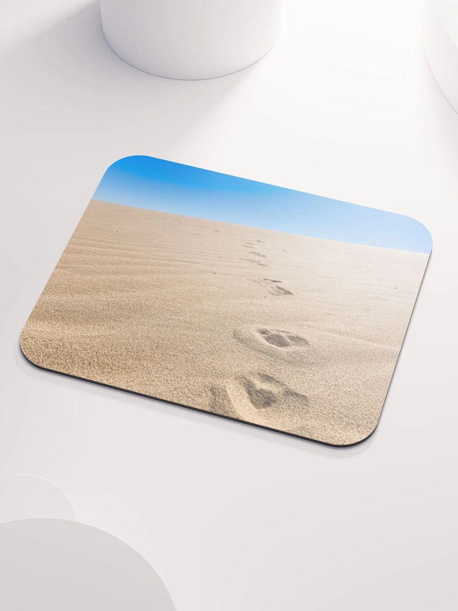 Salton Sea Coyote product image (3)