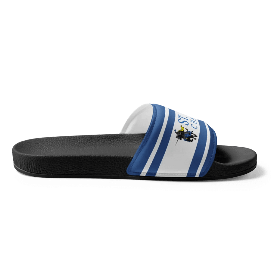 STJ Slides product image (3)