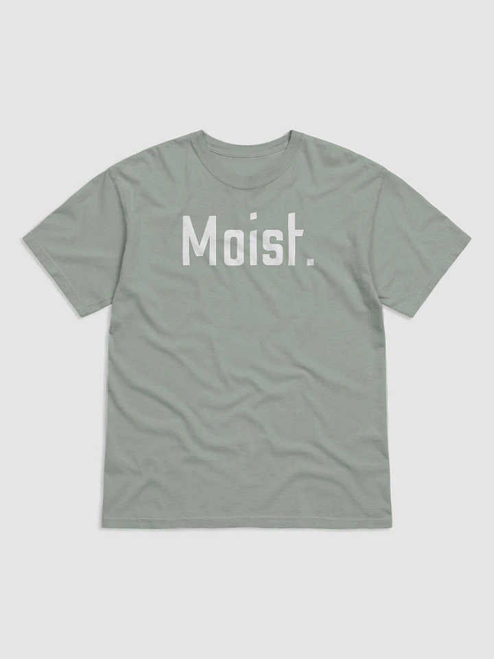 Moist. product image (11)