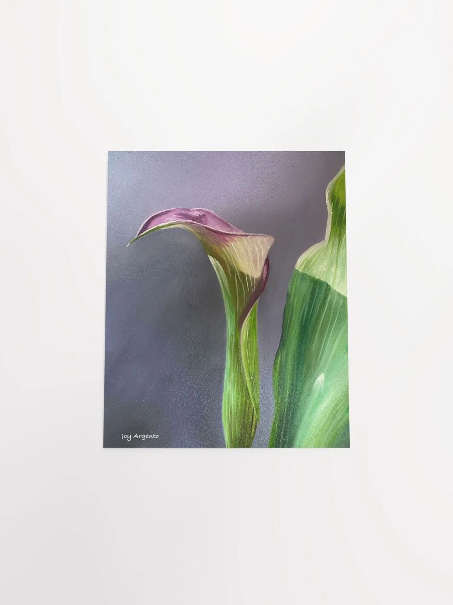 Calla Lily Print product image (3)