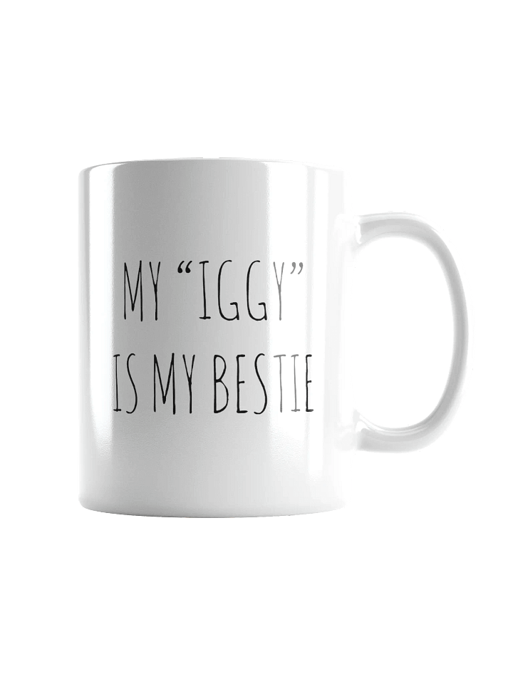 My "Iggy" Is My Bestie Minimalist Rustic Chic Mug product image (2)
