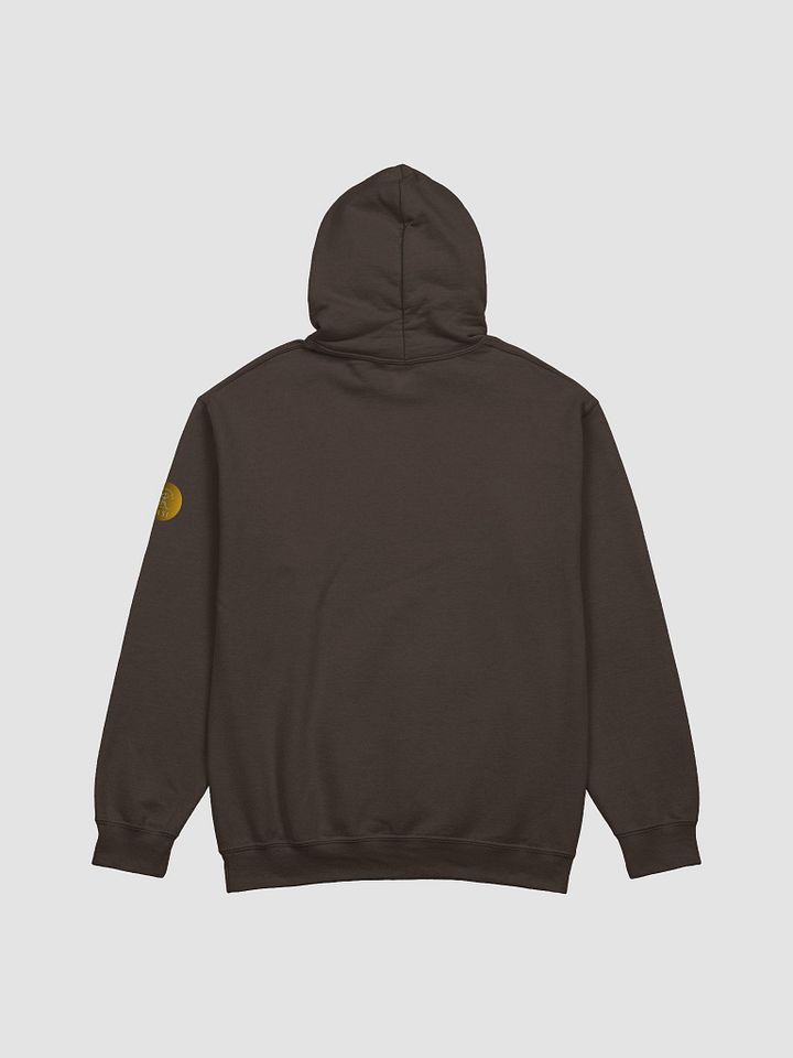 Hawai'i Volcanoes National Park eco friendly hoodie product image (2)