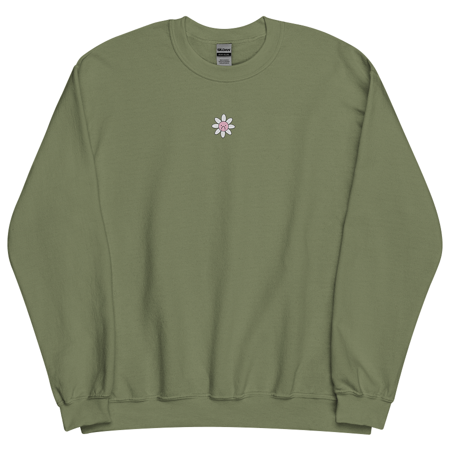 Big Sad Embroidered Sweatshirt product image (3)
