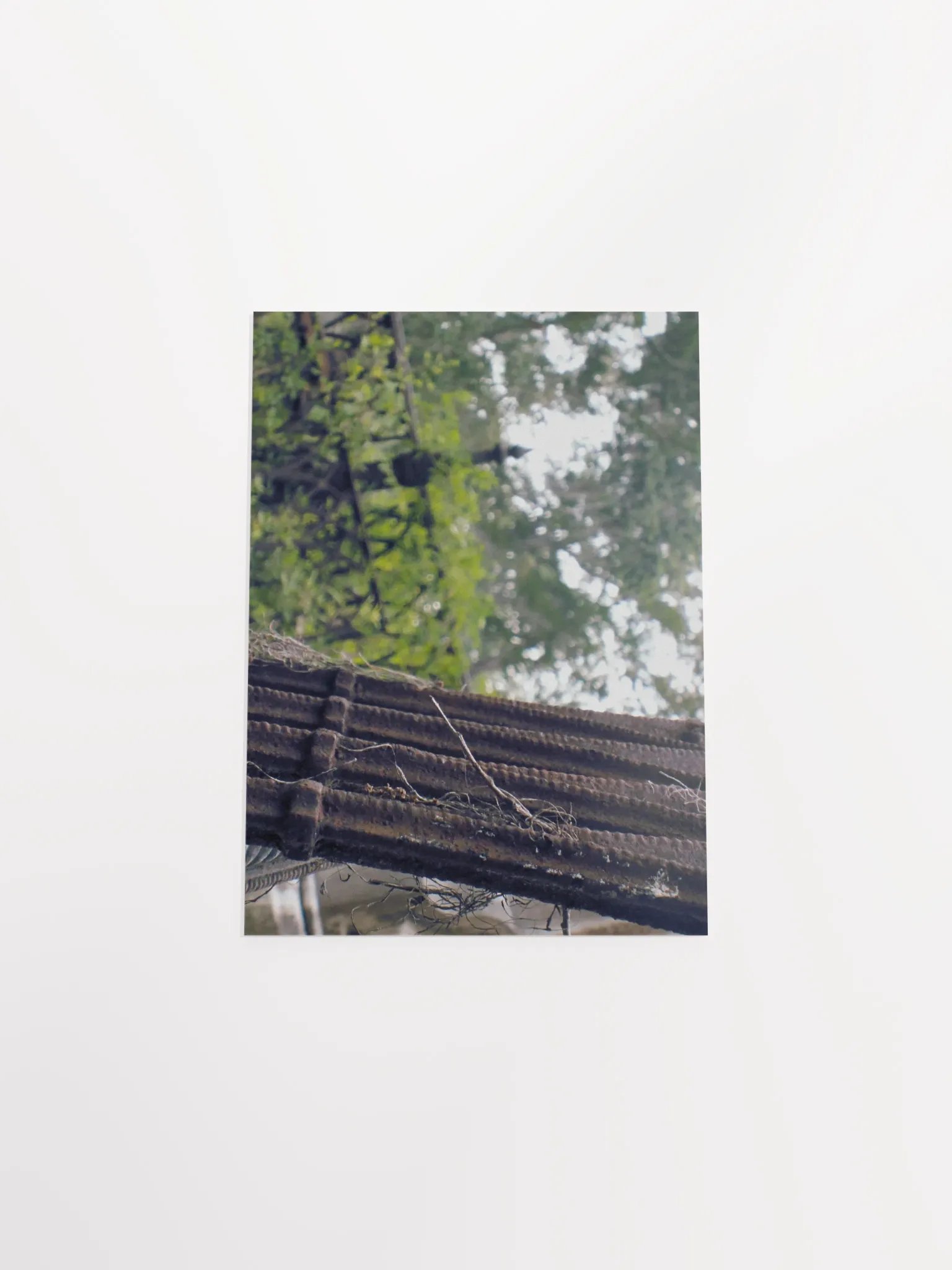 Queer Even in Death product image (40)