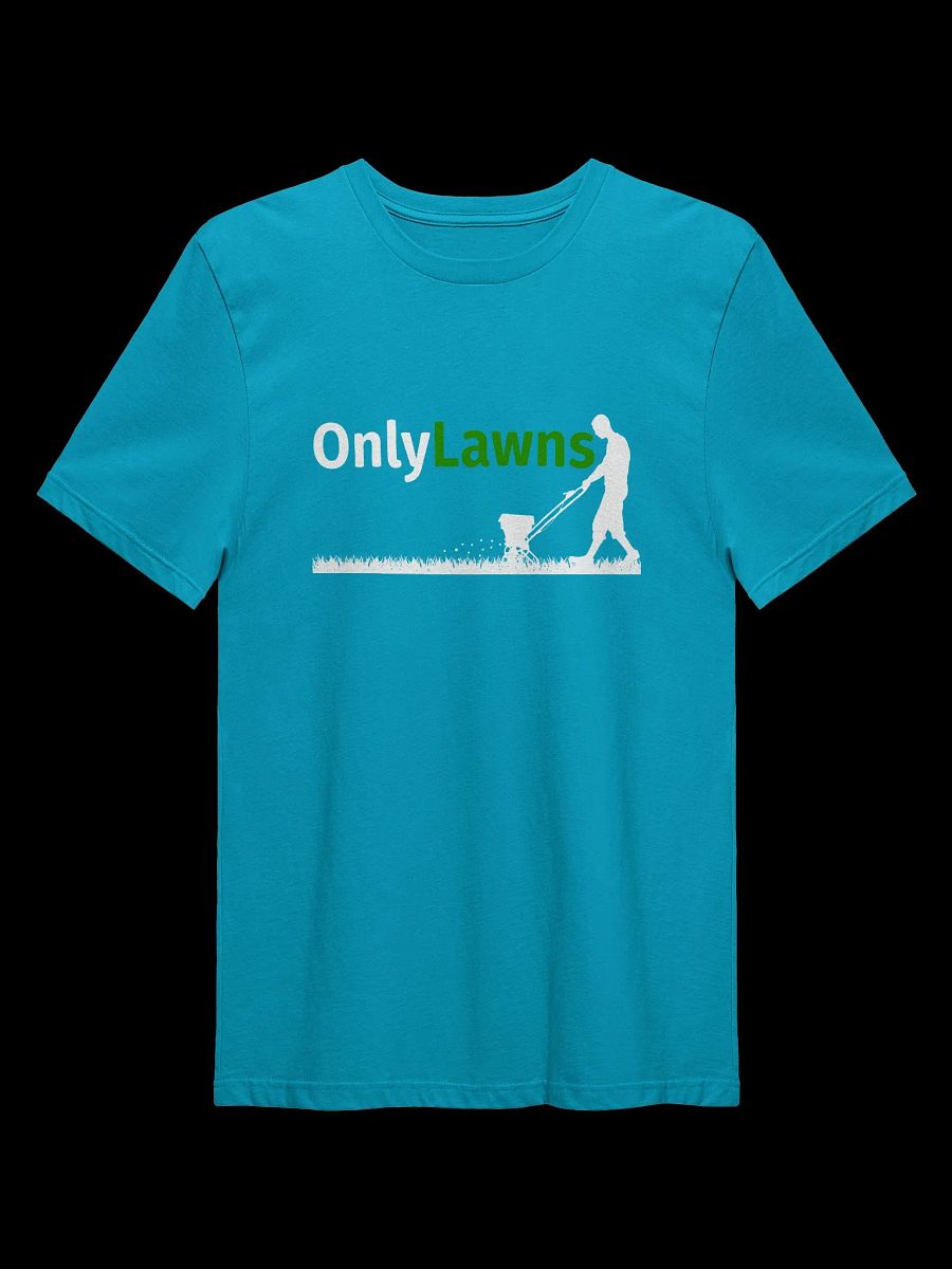 OnlyLawns Tee (Alternate Color) product image (1)