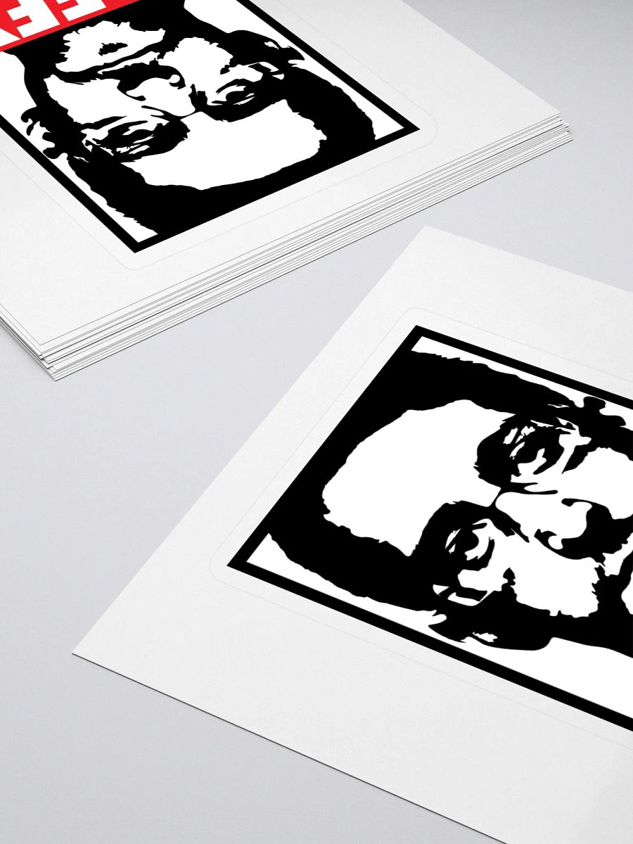DEFY Snowden Sticker product image (4)