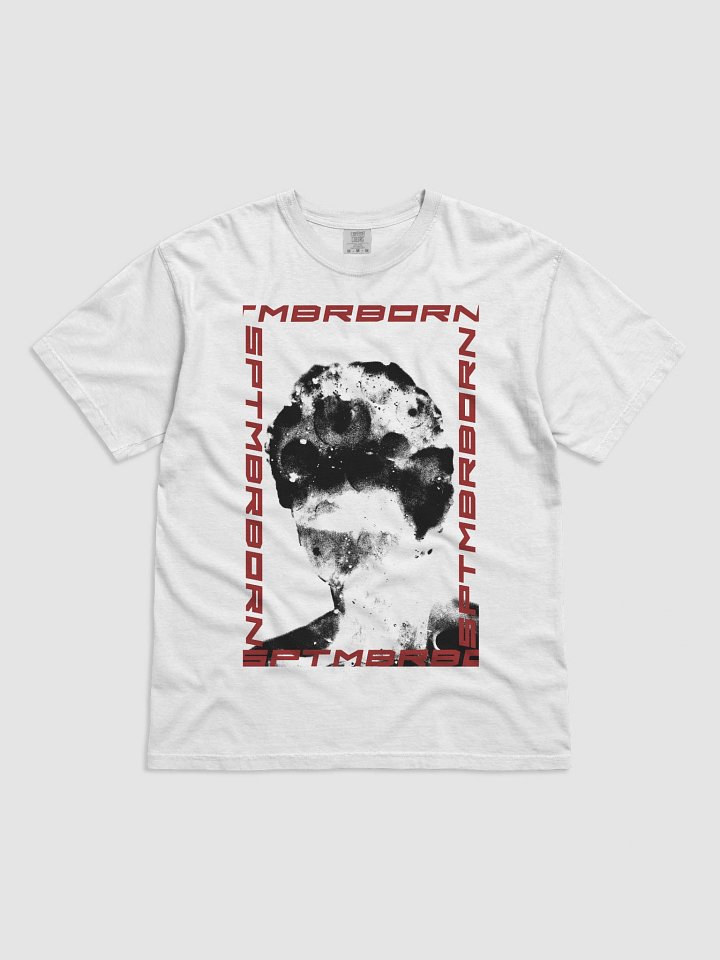 BOXGRAPHICTEE product image (1)