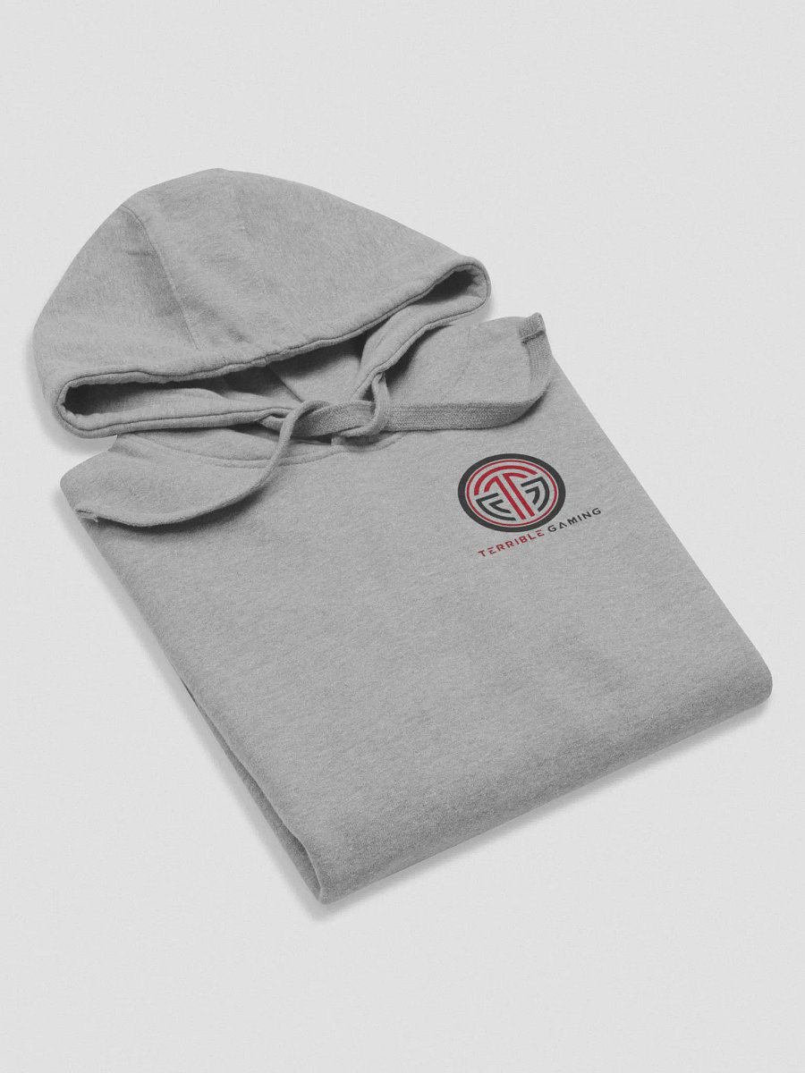 Terrible Praise Hoodie product image (29)