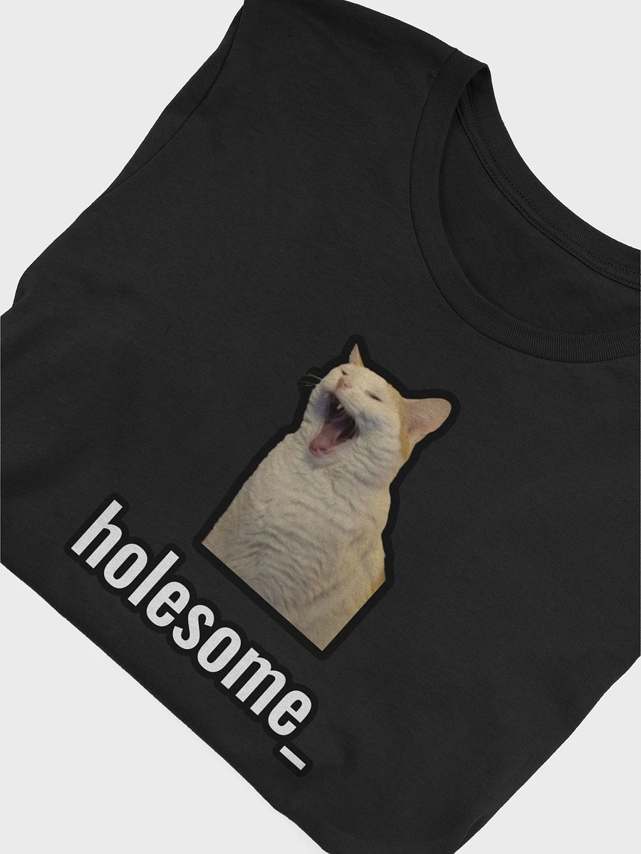 holesome Nico T Shirt product image (47)