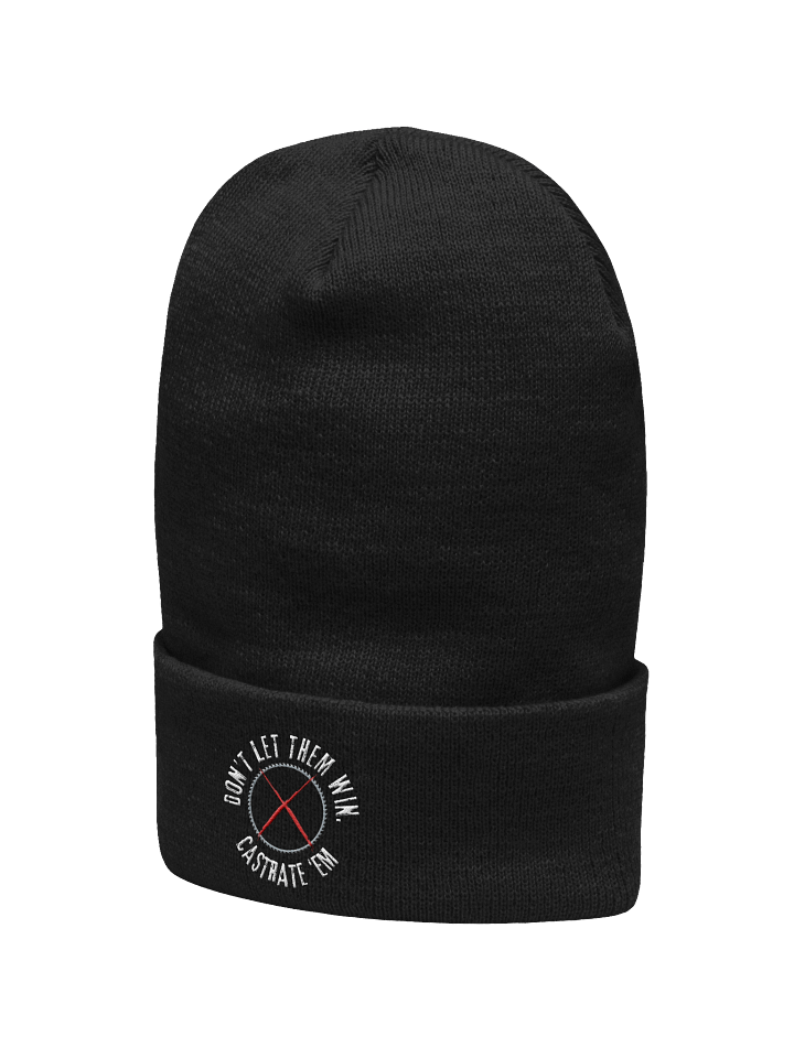 Don't Let Them Win Beanie product image (32)