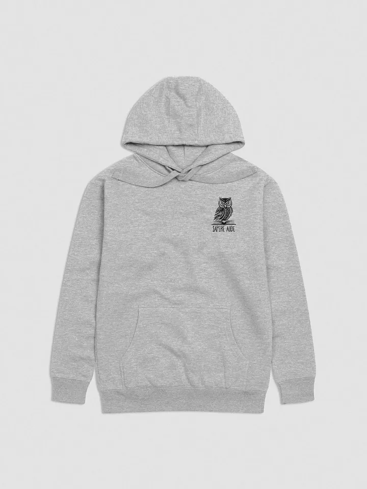 Sapere Aude Hoodie product image (1)