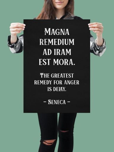 Seneca Stoic Quote Anger Control product image (1)
