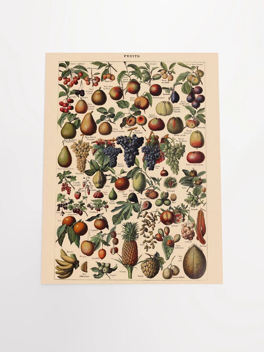 Vintage fruit poster print product image (10)