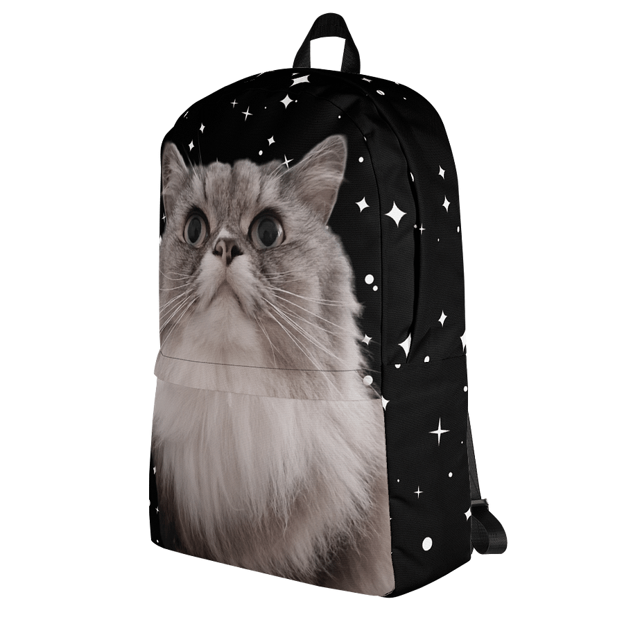 Duman Backpack 2.0 product image (5)