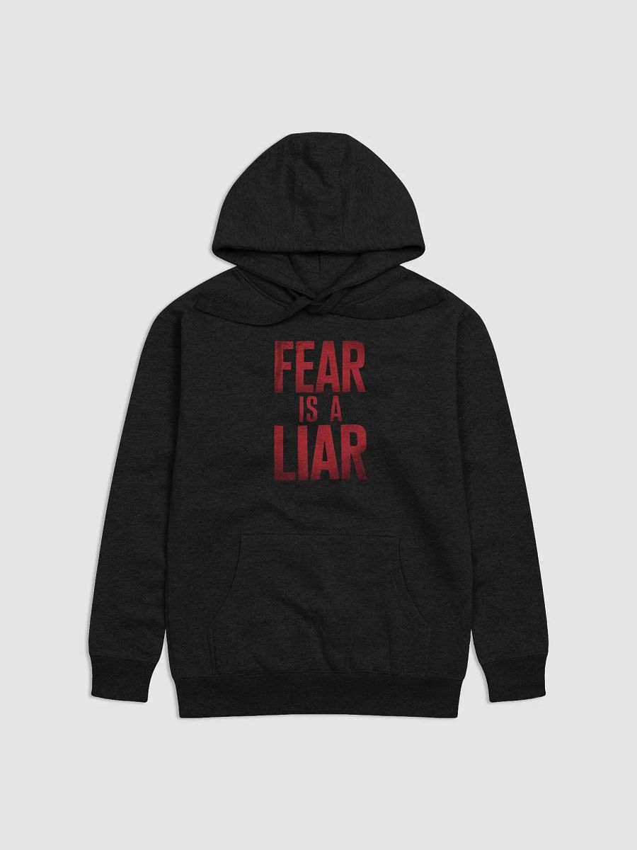Fear is a liar Unisex Hoodie product image (1)