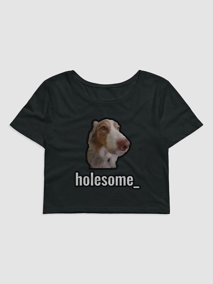 holesome Biggie crop top product image (1)