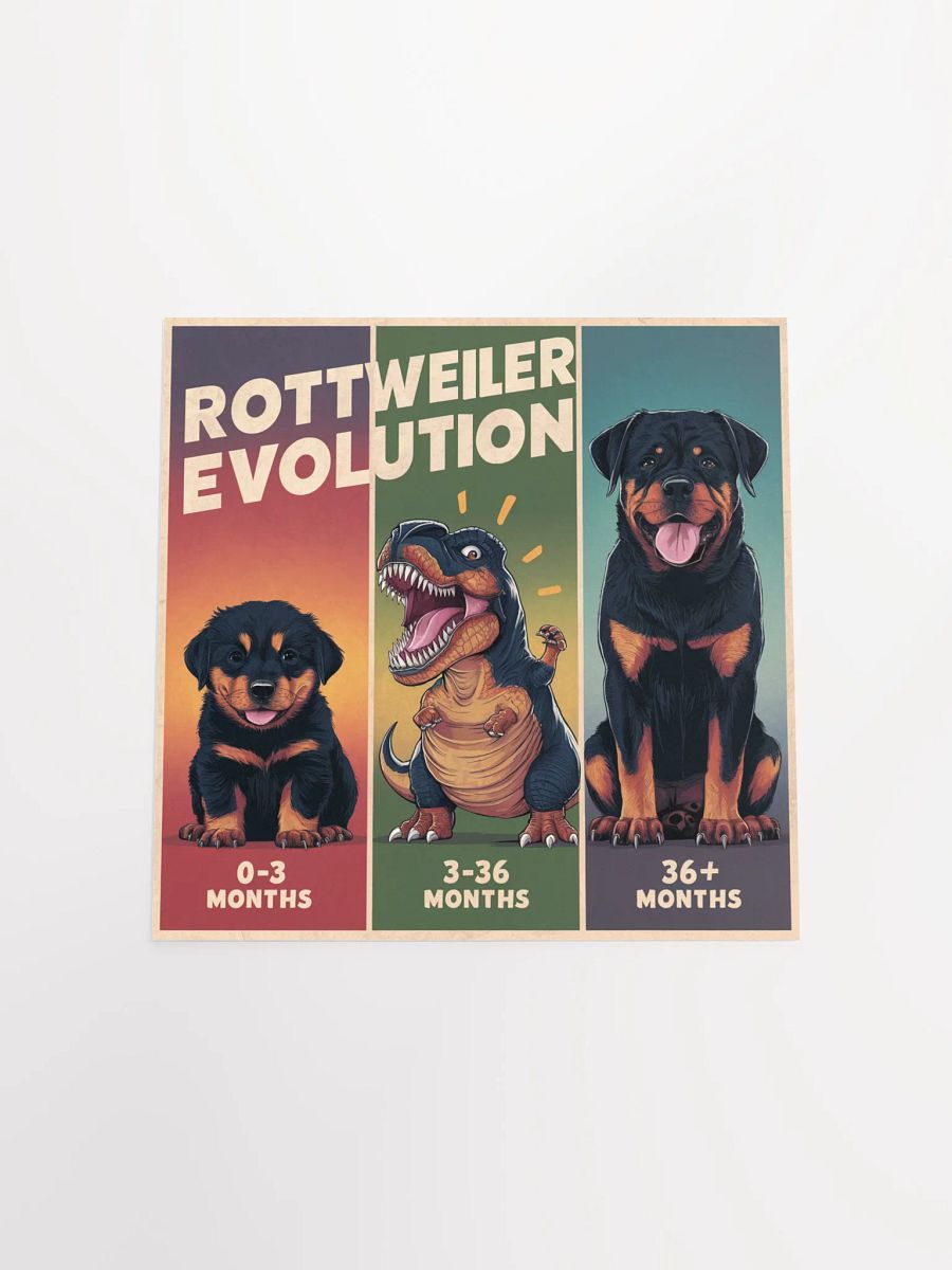 Rottweiler Evolution Poster product image (19)