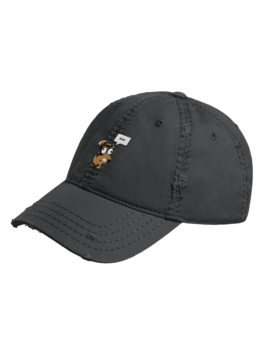 Pre-chewed hat! product image (2)