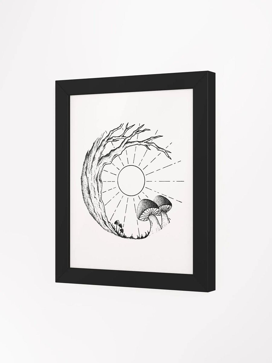 Sunny Mushrooms product image (4)