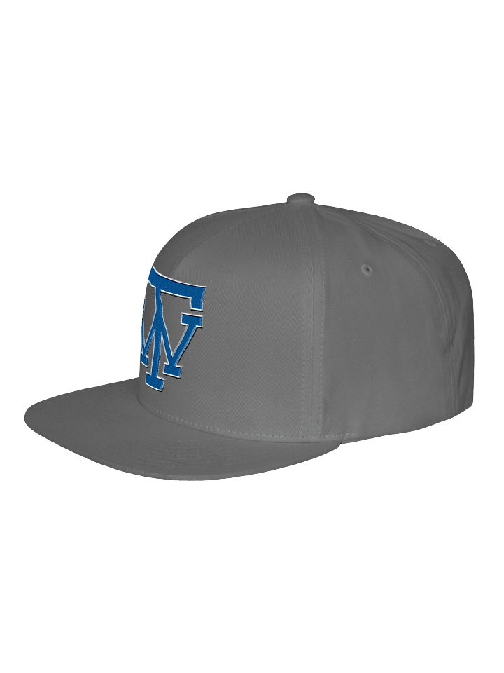 TW Logo Flat Snapback Cap product image (2)