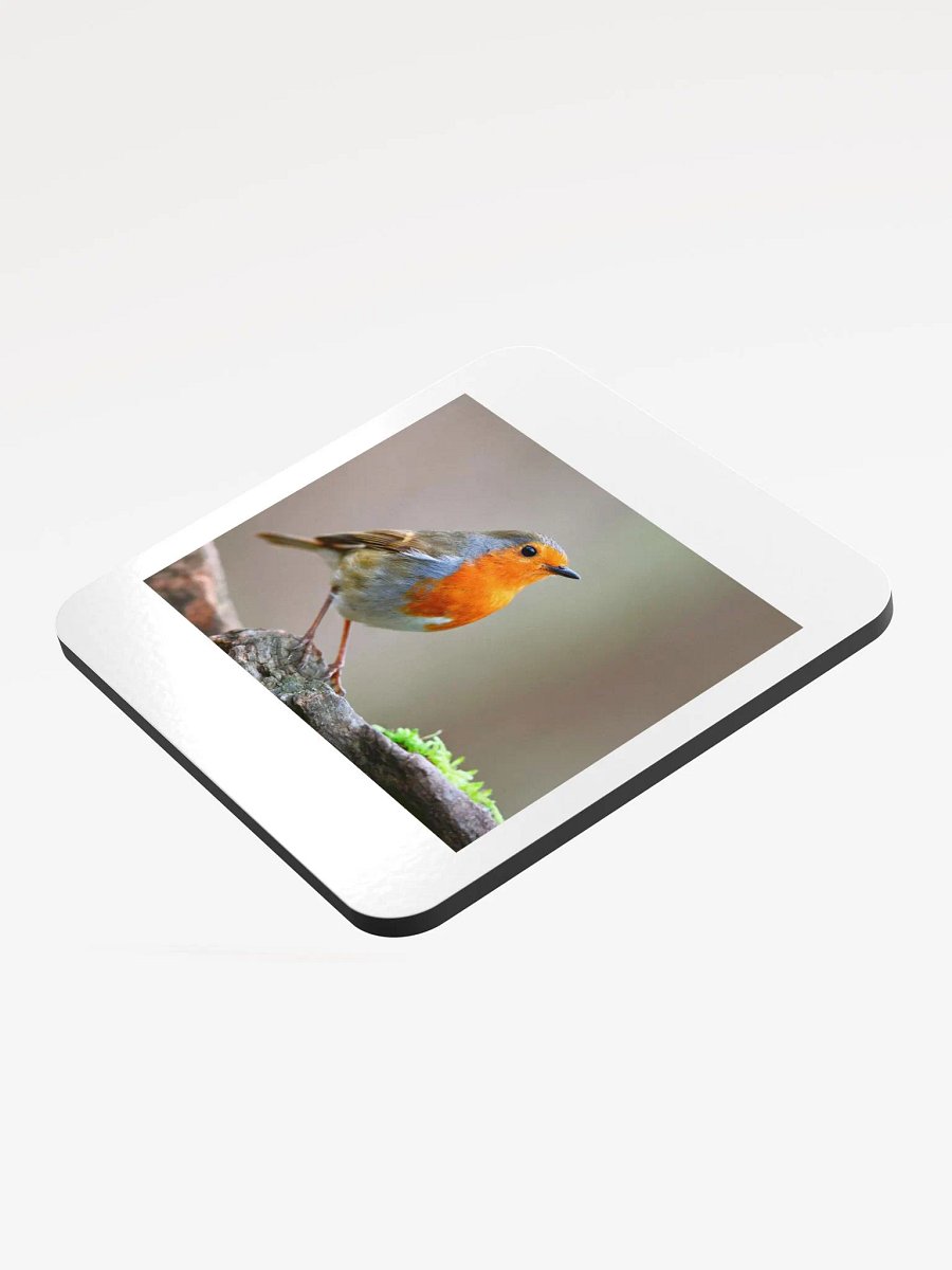 bird coaster product image (3)