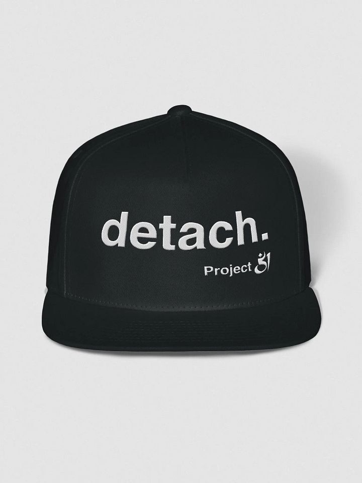 detach. snapback product image (1)