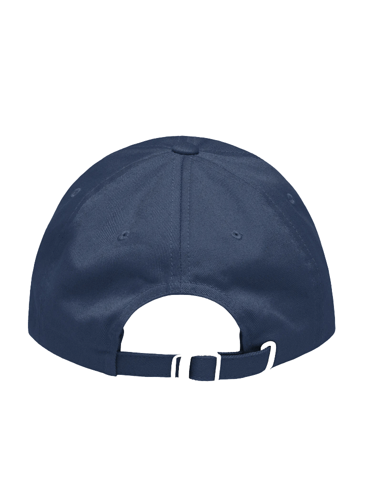 American Bison Embroidered Hat with Patriotic Flag Motif product image (2)