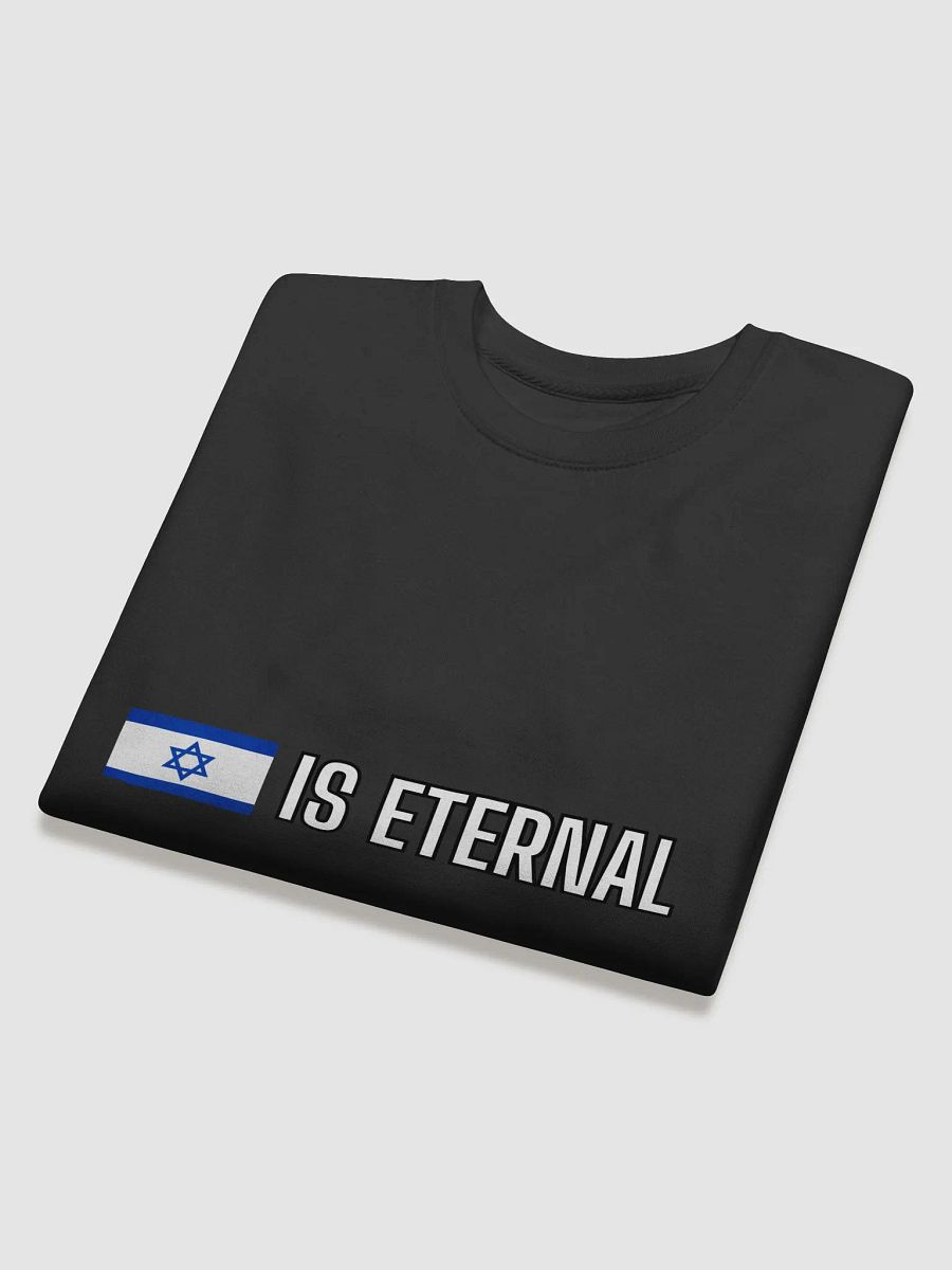 Israel Is Eternal Sweater product image (4)