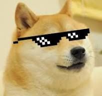 Doge Membership