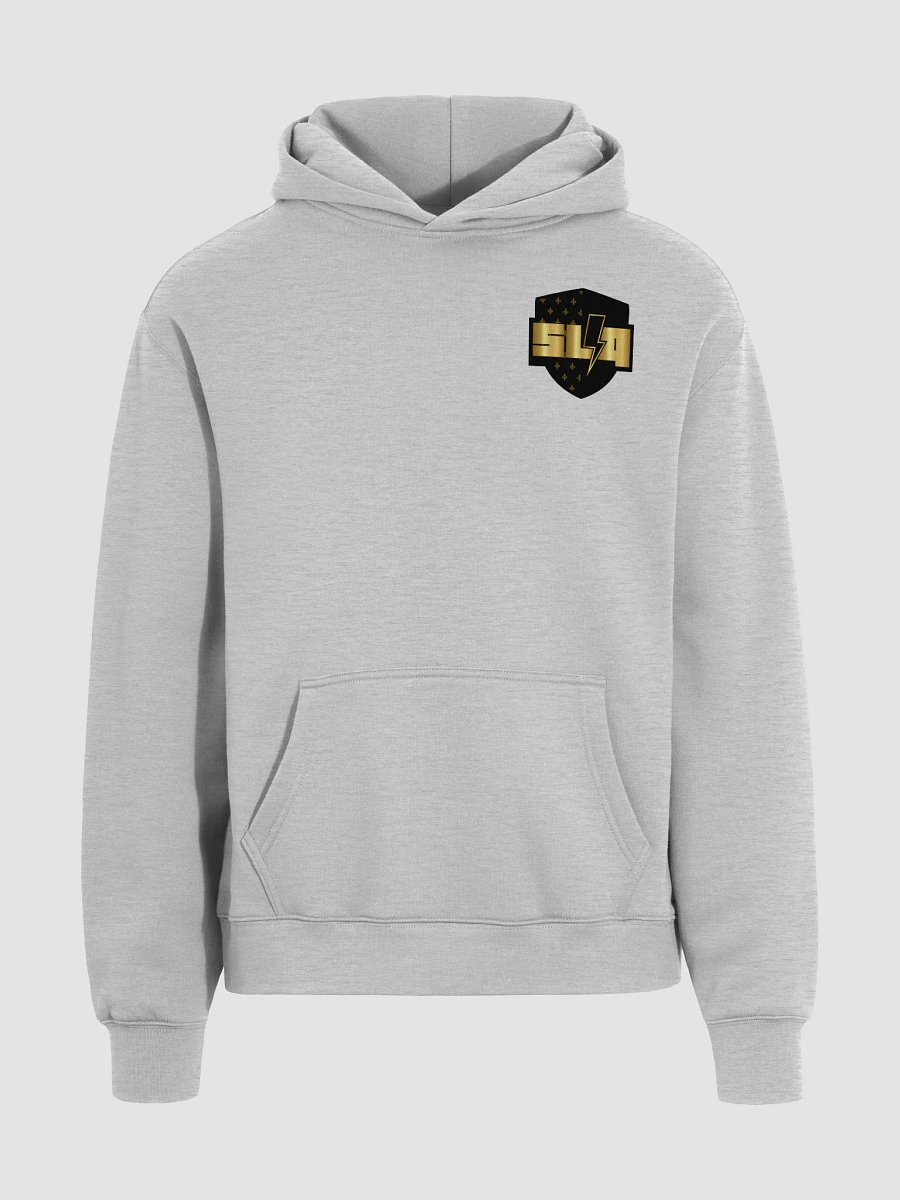 Hoodie SLQ gris Homme product image (3)