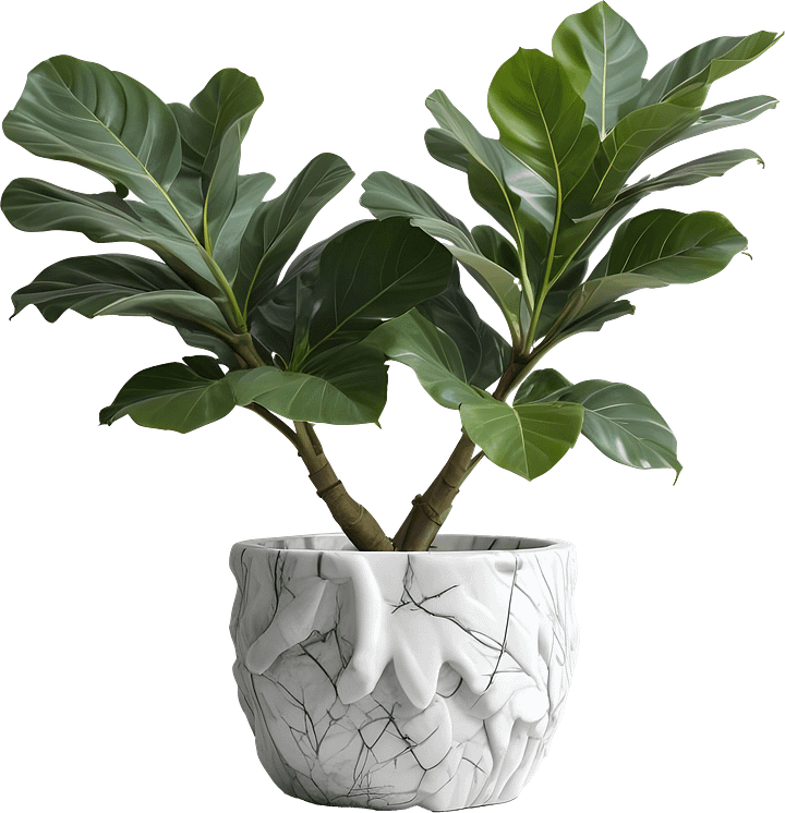 Marble Eternal – Fiddle Leaf Marble Pot PNG product image (1)
