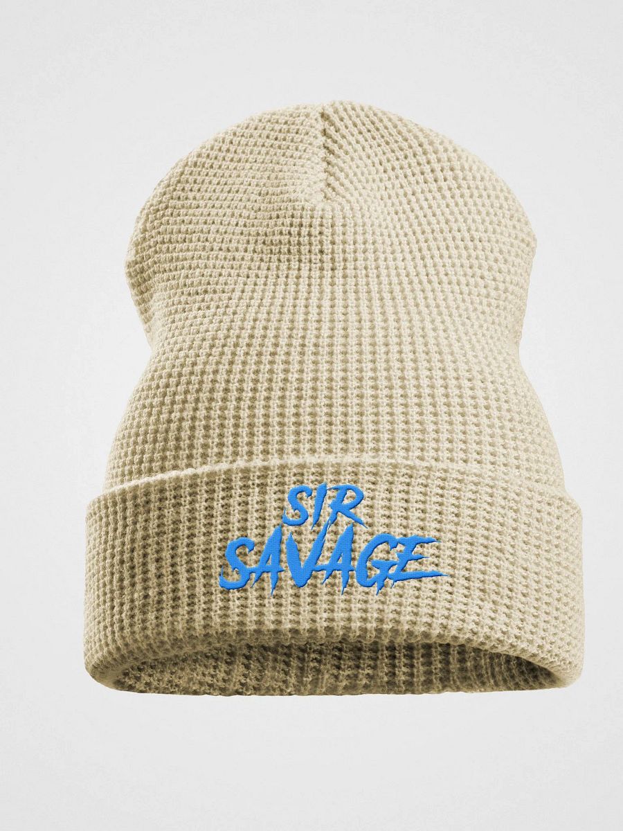 WAFFLE BEANIE MULTI COLOR product image (1)