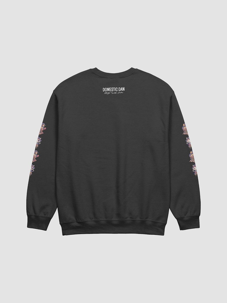 Pirate Sweater product image (2)