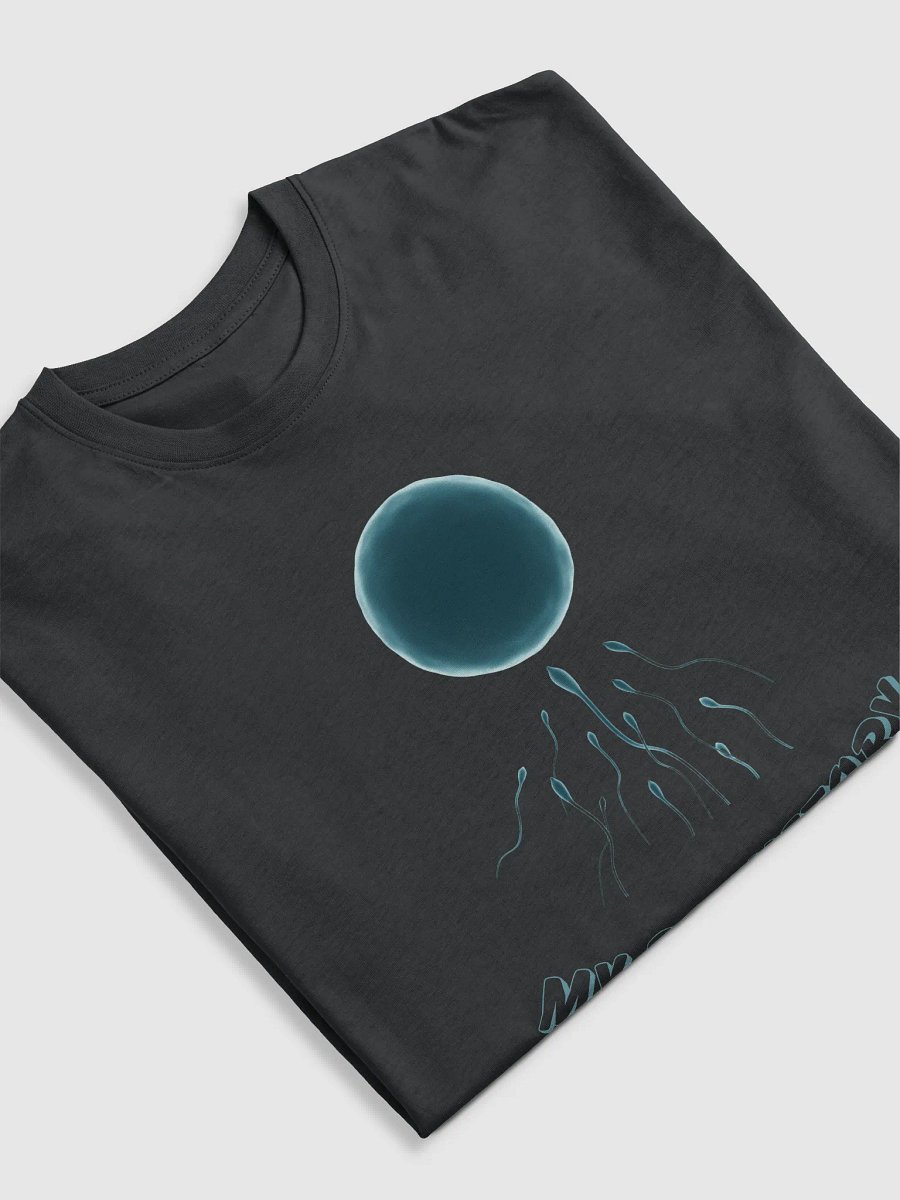 My Backstory Men's Premium Heavyweight Tee product image (5)