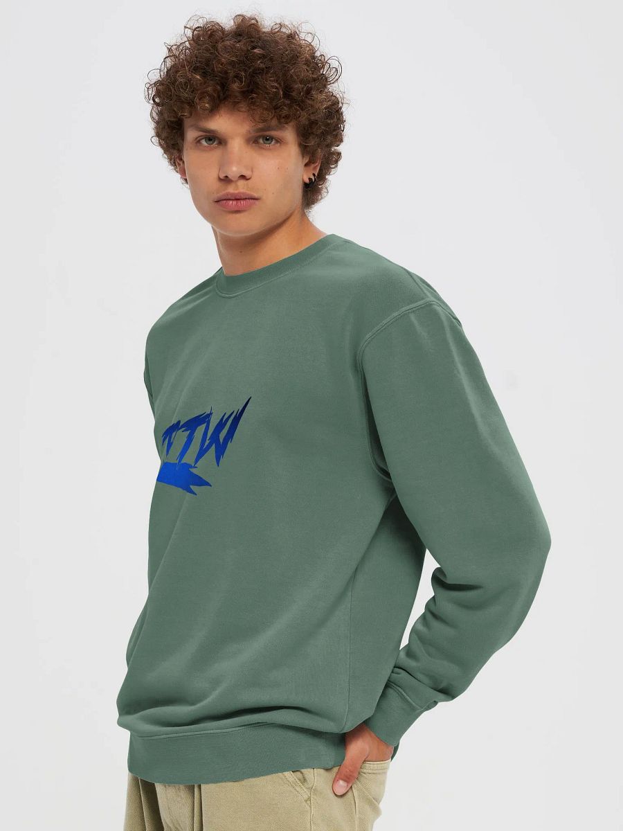 BTW new logo unisex pigment dyed sweatshirt product image (60)