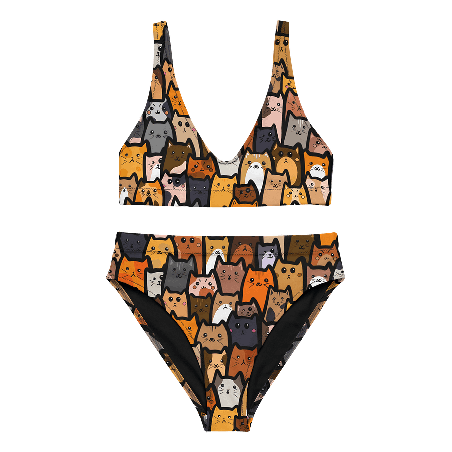 "Cats" High Waisted Bikini product image (1)