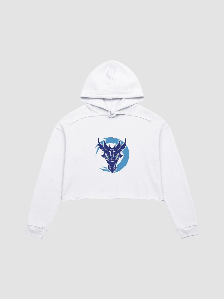 Crop Hoodie - Aerinda Buhrik product image (13)