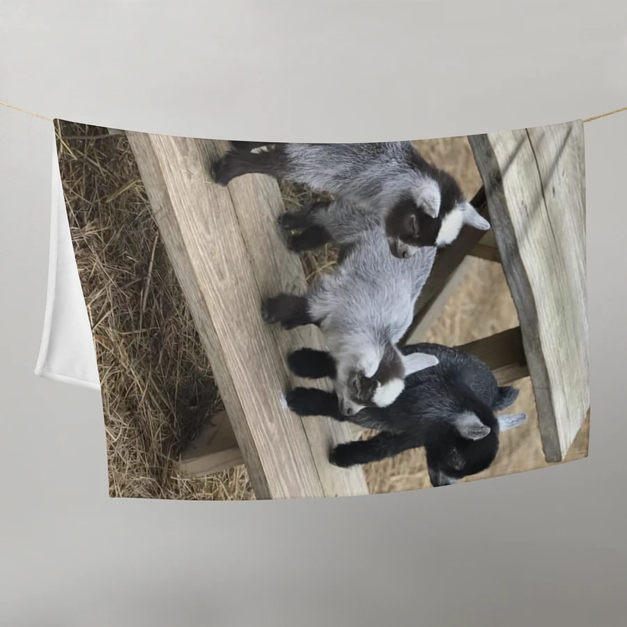 SNUGGLE PYGMY GOAT BLANKET product image (21)