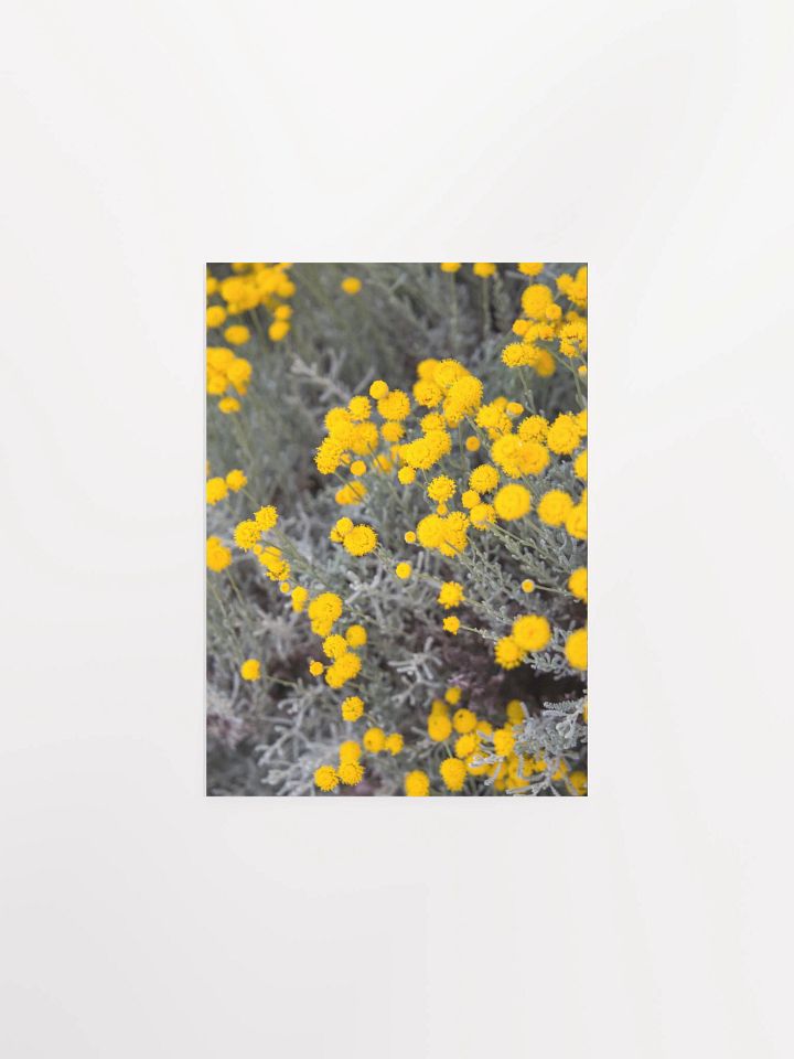 Flores amarillas - Enhanced Matte Paper Poster product image (1)
