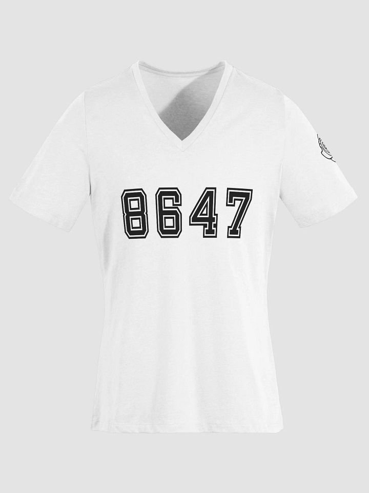 8647 College Relaxed V-Neck T-Shirt B product image (2)