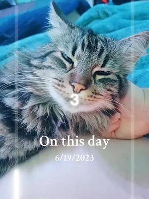 #onthisday 