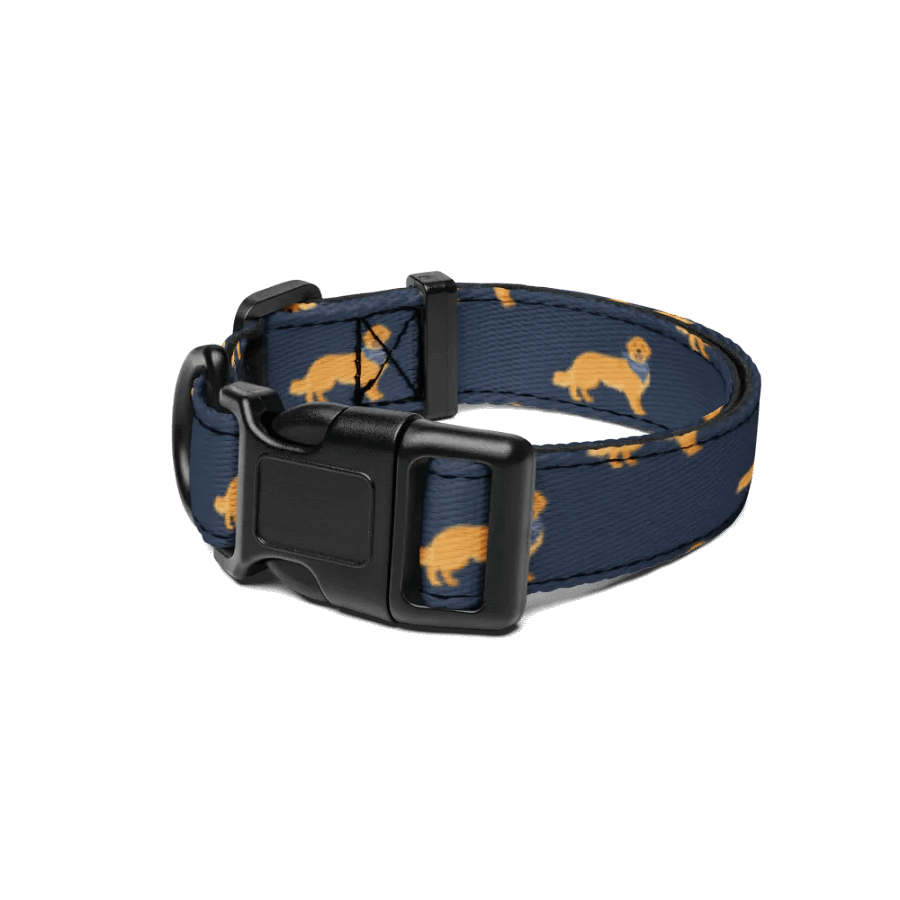 Golden Retriever Dog Collar product image (1)