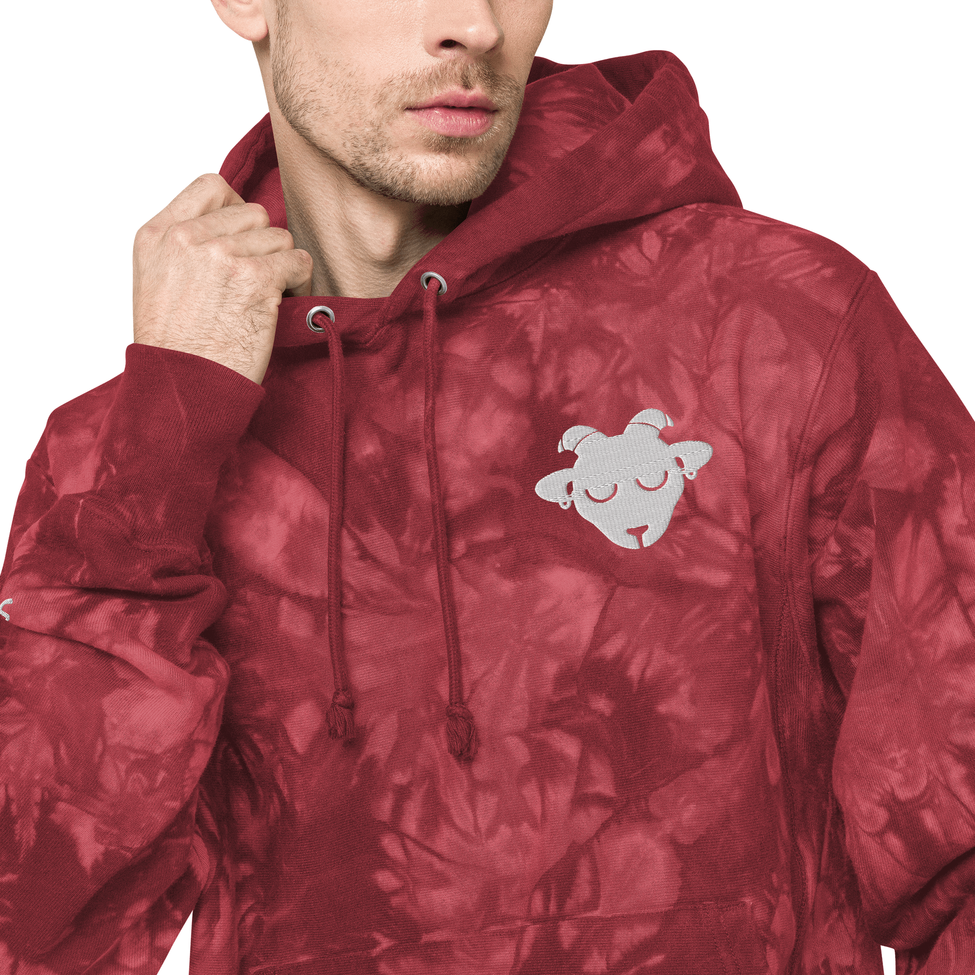 Champion Tie Dye Hoodie. product image (4)