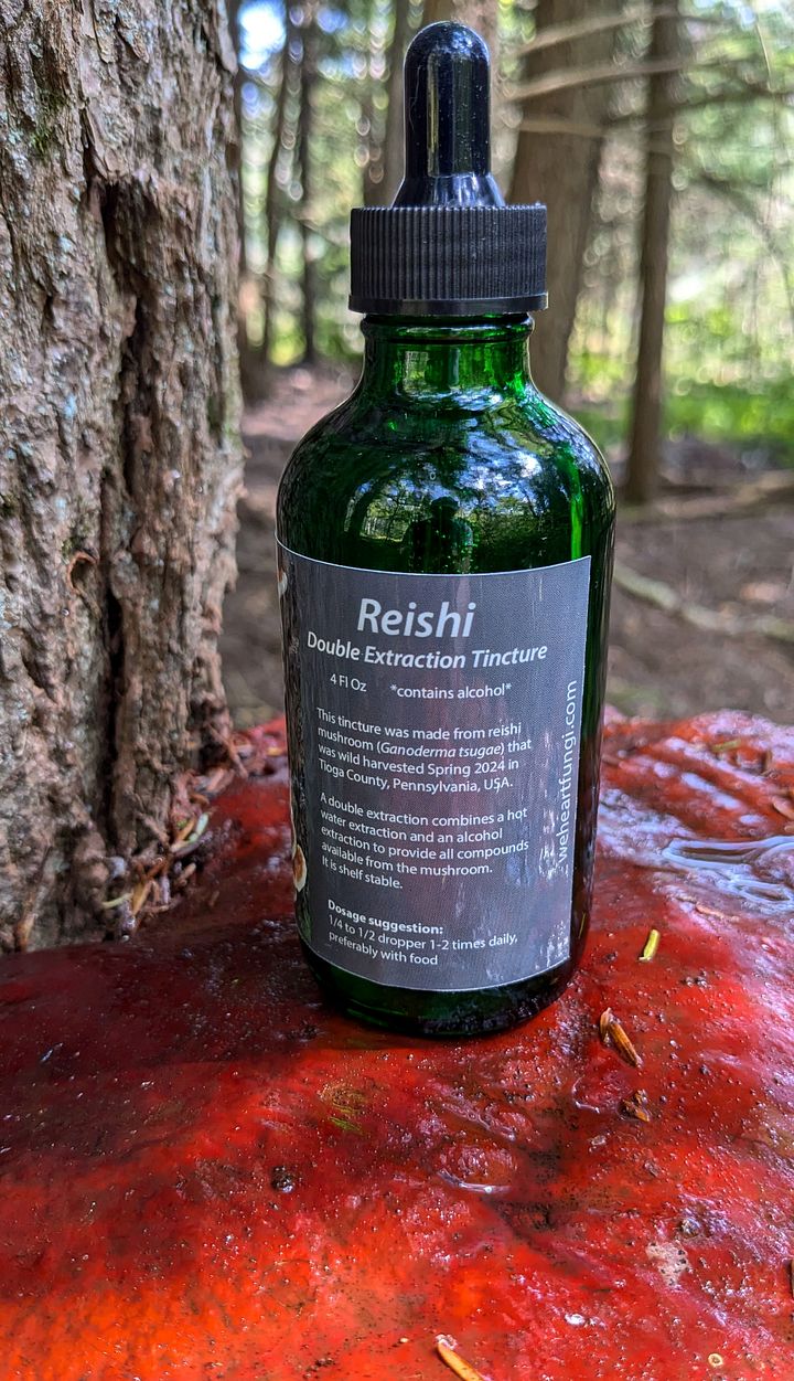 Wild Harvested Reishi Double Extraction Tincture 4 oz product image (2)