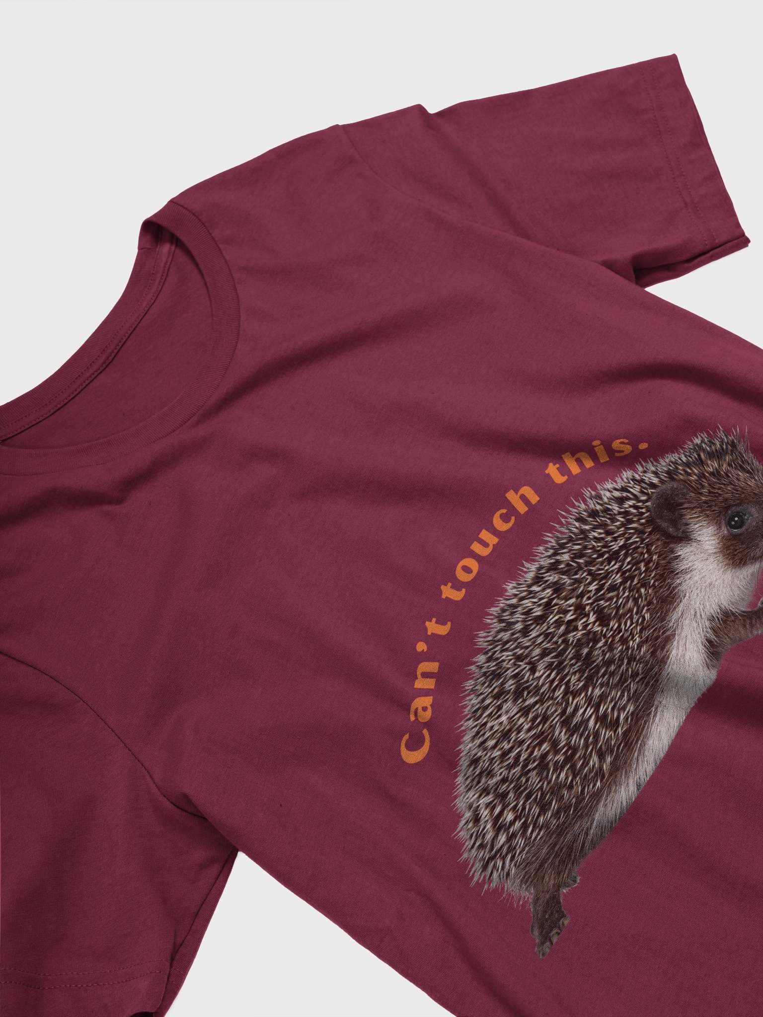 Spike, the hedgehog — simple and funny product image (2)
