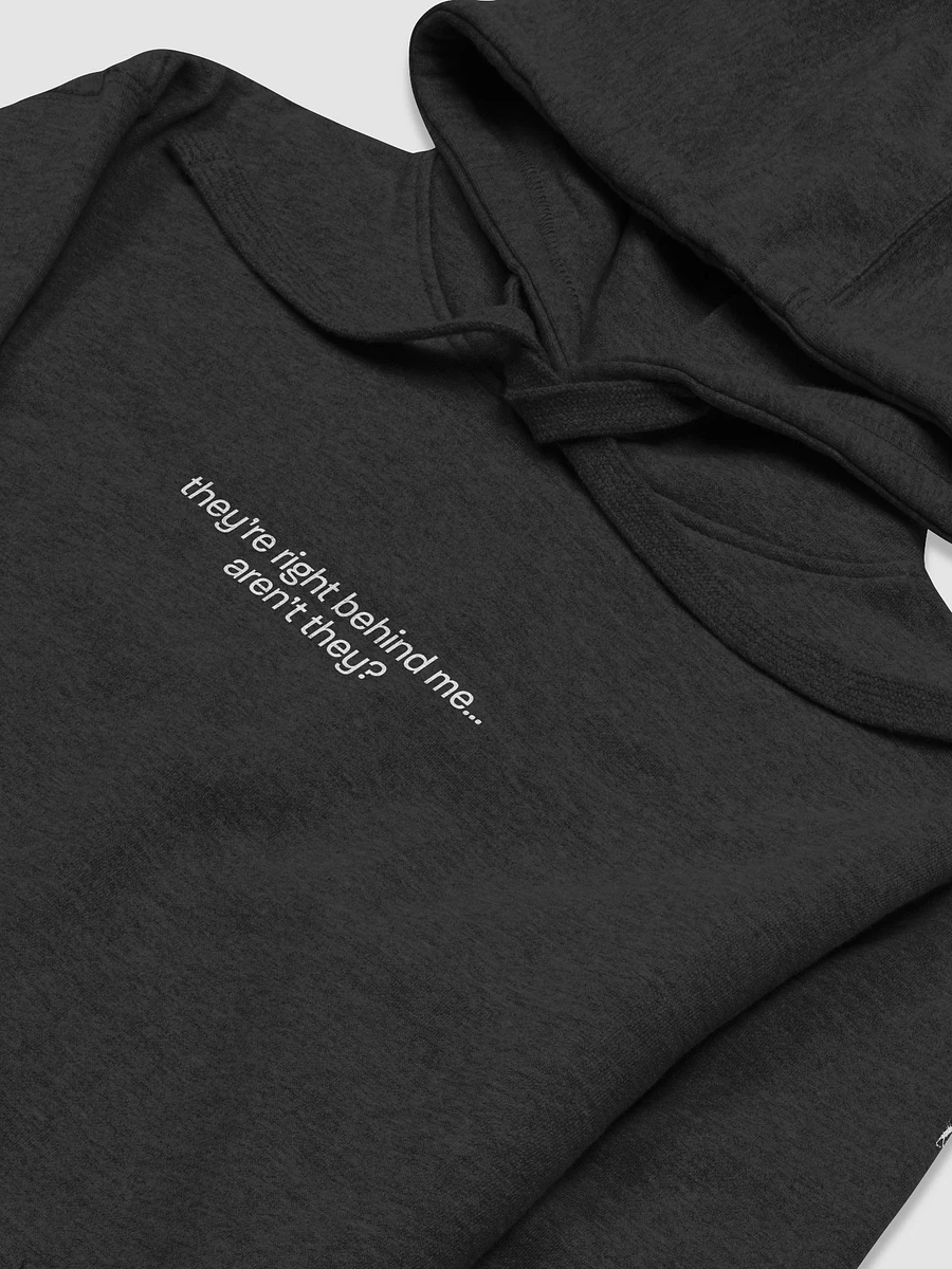 they're right behind me... aren't they? Hoodie product image (23)