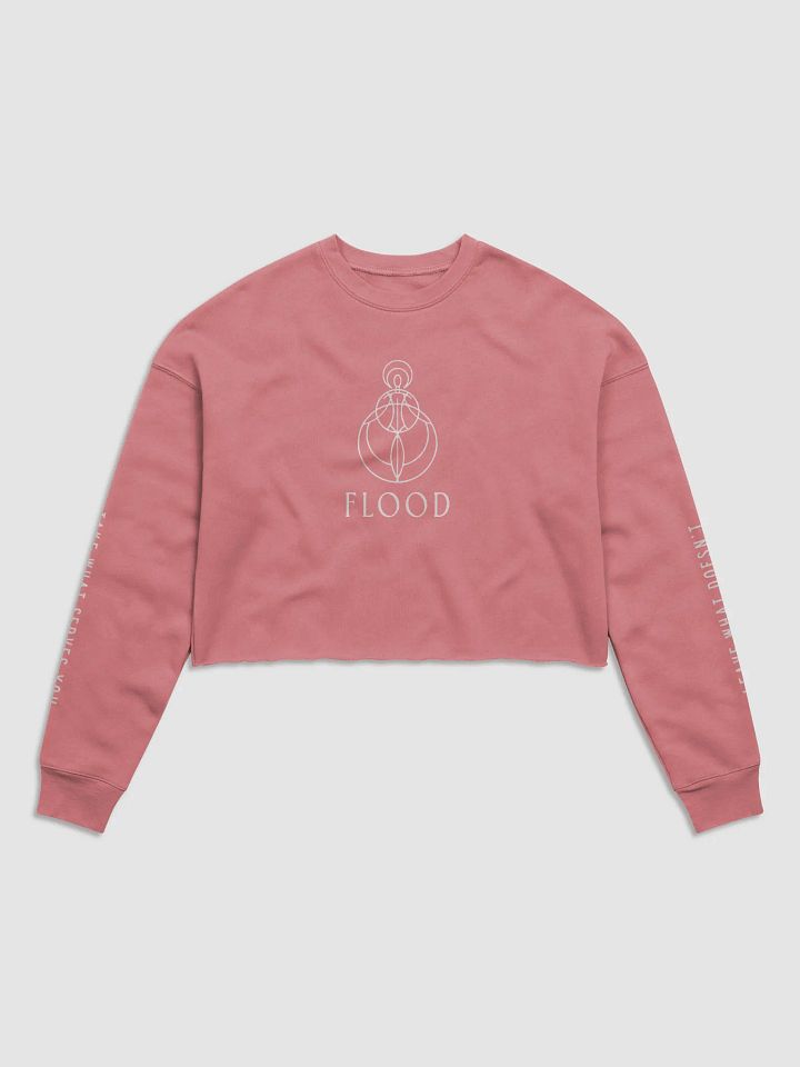 Flood Yoga Crop Top Longsleeve product image (2)