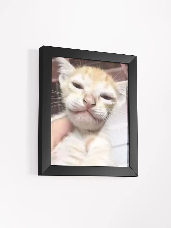 Cat product image (13)